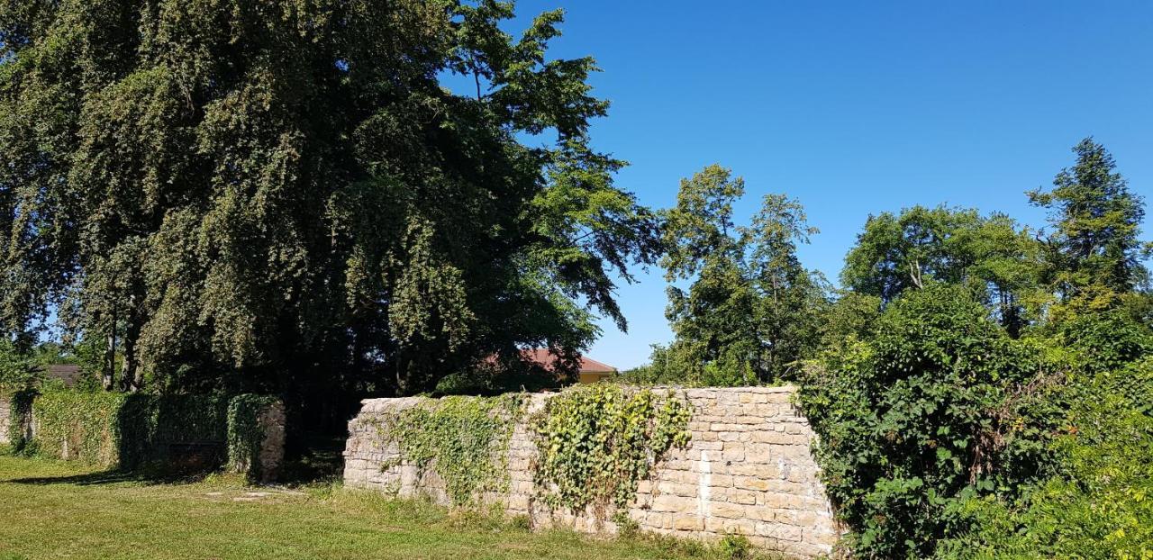 Le 49 Côté Parc&SPA Domblans Esterno foto